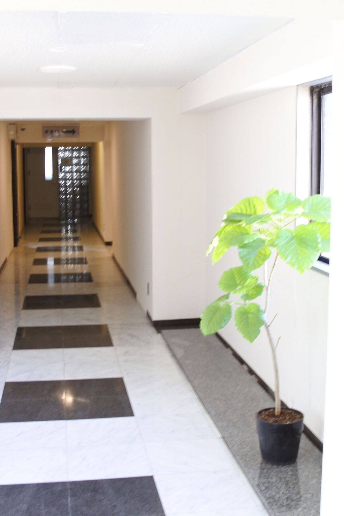 Kagoshima Guest House M104 - Hostel 外观 照片